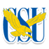 圣约瑟大学
